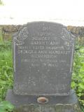 image of grave number 594487